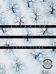 Book cover of: Sycamore. By: Kathy Fagan