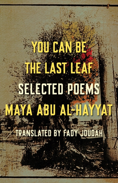 Book cover of: You Can Be the Last Leaf. By: Maya Abu Al-Hayyat