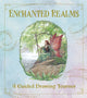 Enchanted Realms - A Guided Drawing Journey