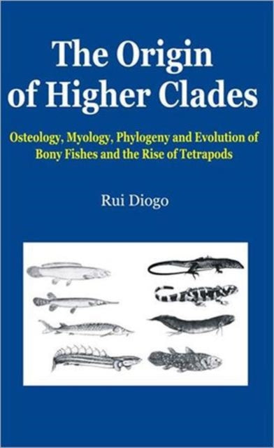 Book cover of: Origin of Higher Clades. By: Rui Diogo