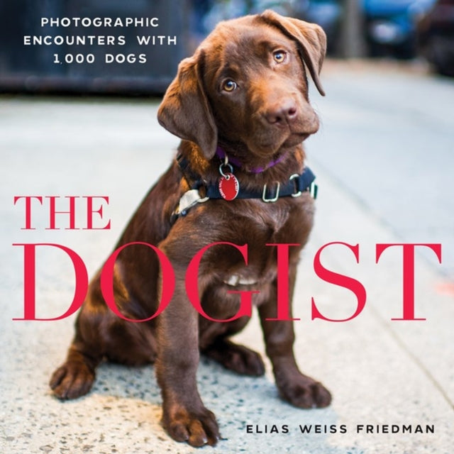 Book cover of: Dogist. By: Elias Weiss Friedman