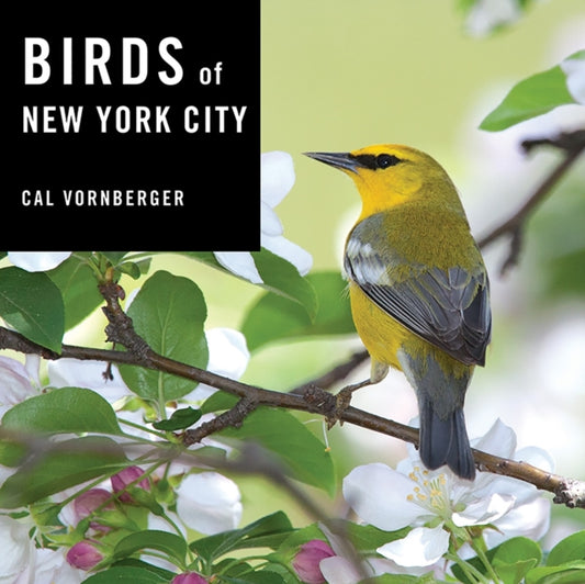 Book cover of: Birds of New York City. By: Cal Vornberger