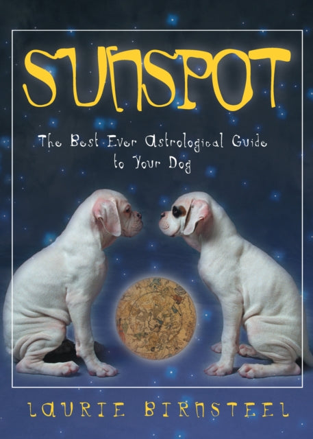 Book cover of: Sunspot. By: Laurie Birnsteel