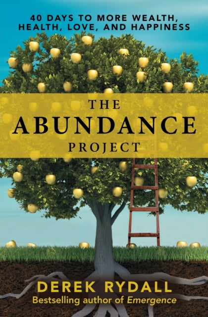 Book cover of: Abundance Project. By: Derek Rydall