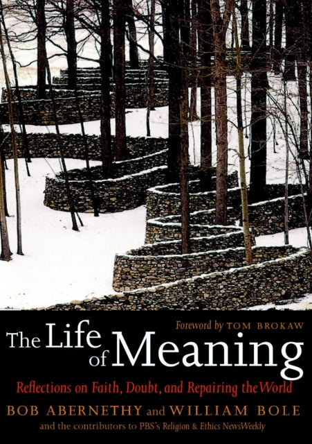 Book cover of: Life of Meaning. By: Bob Abernethy