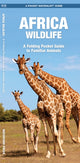 African Wildlife