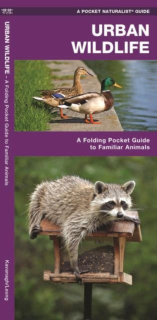 Book cover of: Urban Wildlife. By: James Kavanagh
