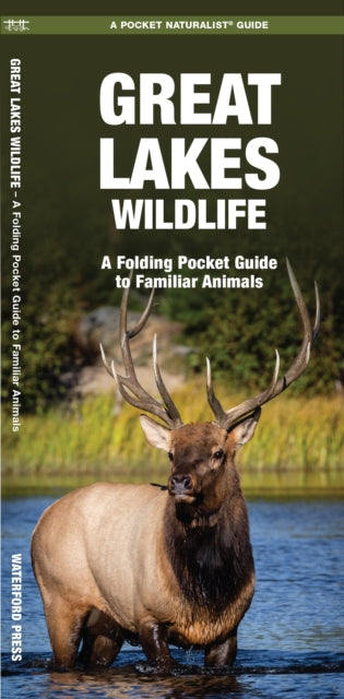 Book cover of: Great Lakes Wildlife. By: James Kavanagh
