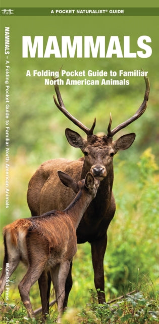 Book cover of: Mammals. By: James Kavanagh