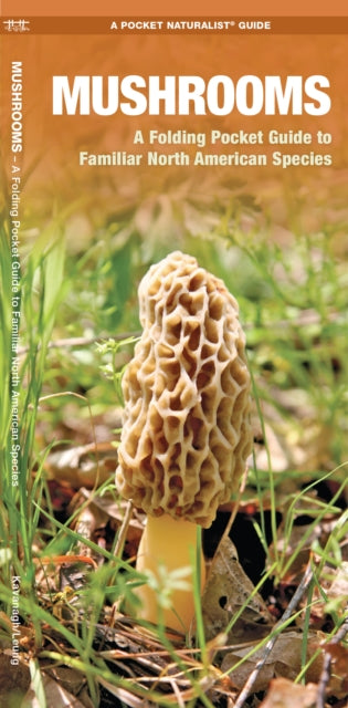 Book cover of: Mushrooms. By: James Kavanagh
