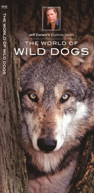 Book cover of: World of Wild Dogs. By: Jeff Corwin
