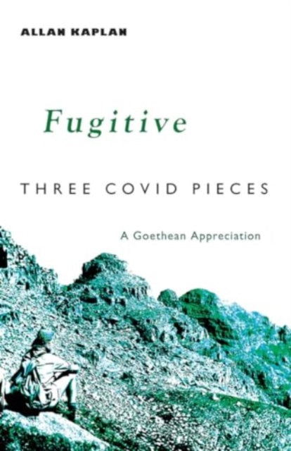 Book cover of: Fugitive. By: Allan Kaplan