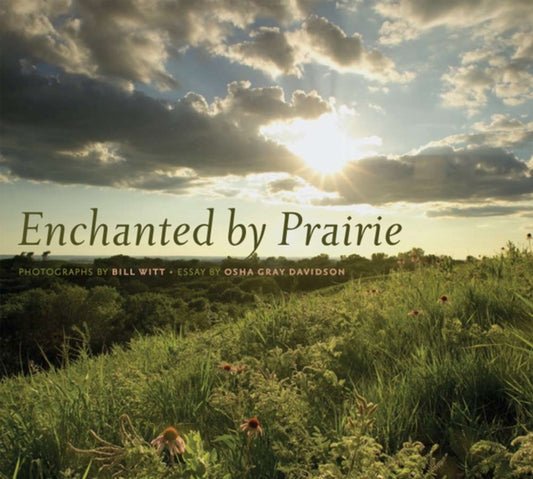 Book cover of: Enchanted by Prairie. By: Bill Witt