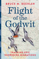 Flight of the Godwit, Tracking Epic Shorebird Migrations 9781588347879 Bruce M. Beehler