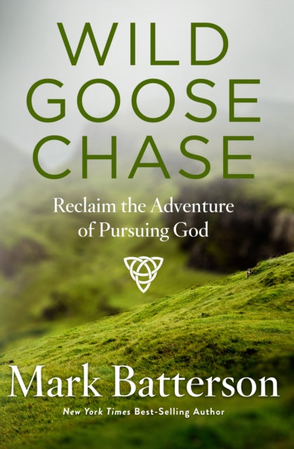 Book cover of: Wild Goose Chase. By: Mark Batterson