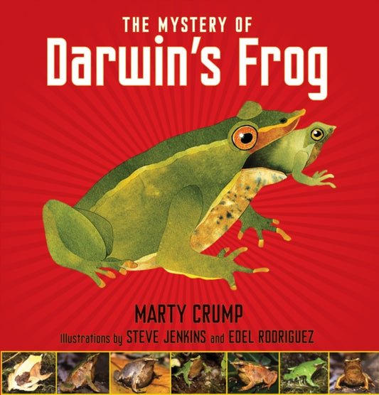 Book cover of: Mystery of Darwin's Frog
