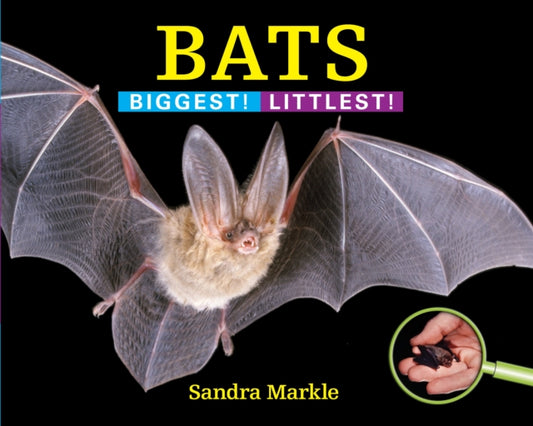 Book cover of: Bats