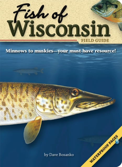Book cover of: Fish of Wisconsin Field Guide. By: David Bosanko