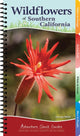 Book cover of: Wildflowers of Southern California. By: George Miller