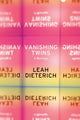 Book cover of: Vanishing Twins. By: Leah Dieterich