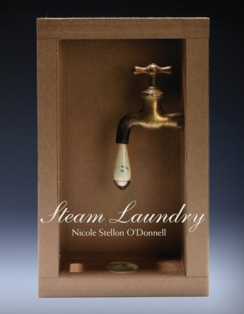 Book cover of: Steam Laundry. By: Nicole Stellon O'Donnell