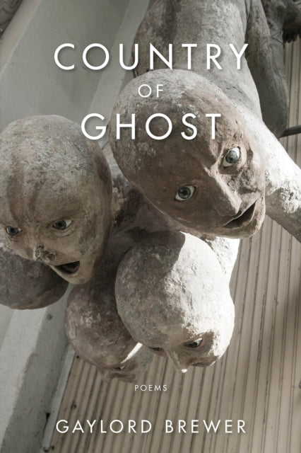 Book cover of: Country of Ghost. By: Gaylord Brewer