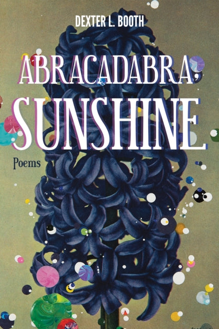 Book cover of: Abracadabra, Sunshine. By: Dexter L. Booth