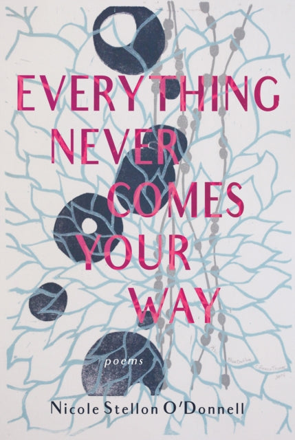 Book cover of: Everything Never Comes Your Way. By: Nicole Stellon O' Donnell