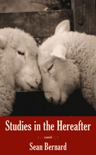Book cover of: Studies in the Hereafter. By: Sean Bernard