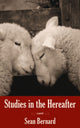 Book cover of: Studies in the Hereafter. By: Sean Bernard