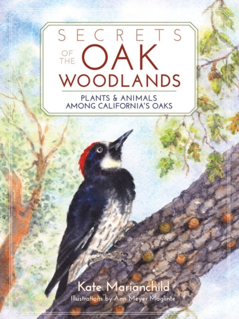 Book cover of: Secrets of the Oak Woodlands. By: Kate Marianchild