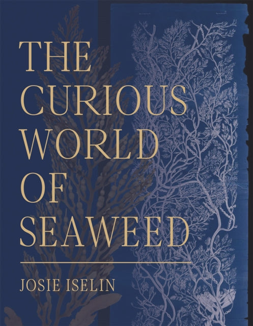 Book cover of: Curious World of Seaweed. By: Josie Iselin