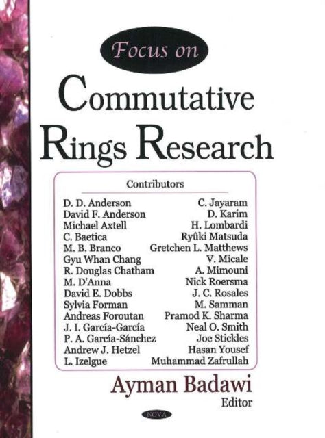 Book cover of: Focus on Commutative Rings Research. By: Ayman Badawi
