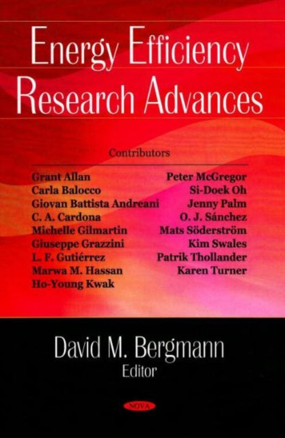 Book cover of: Energy Efficiency Research Advances. By: David M. Bergmann
