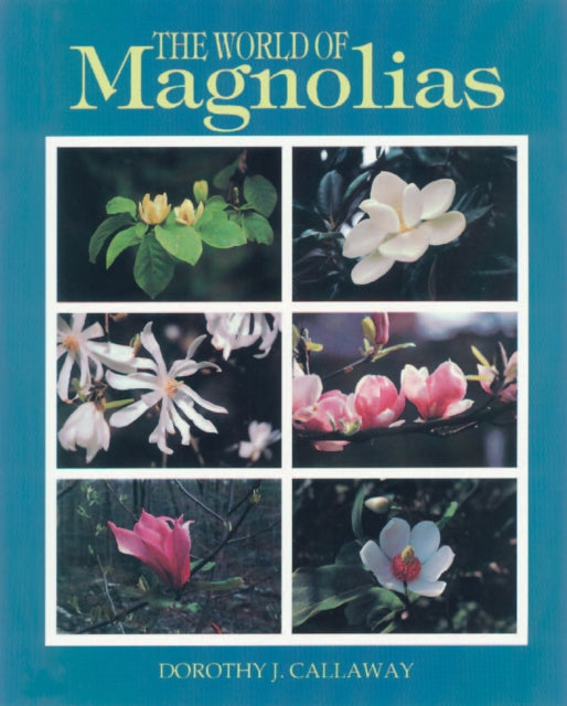 Book cover of: World of Magnolias. By: Dorothy J. Callaway