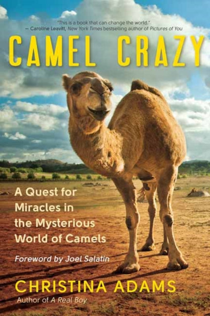 Book cover of: Camel Crazy. By: Christina Adams