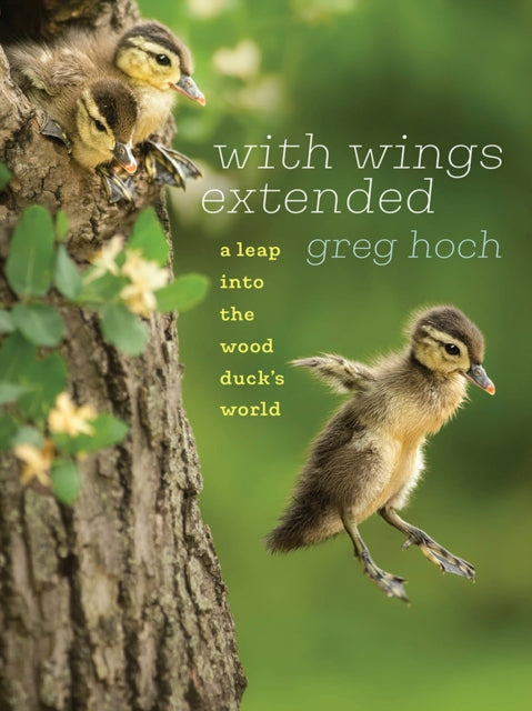 Book cover of: With Wings Extended. By: Greg Hoch