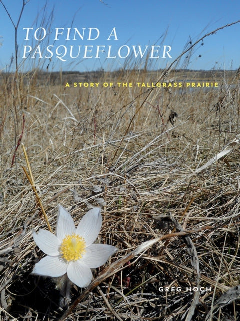 Book cover of: To Find a Pasqueflower. By: Greg Hoch