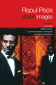 Book cover of: Stolen Images. By: Raoul Peck