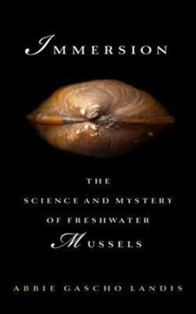 Book cover of: Immersion. By: Abbie Gascho Landis