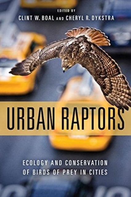 Book cover of: Urban Raptors