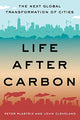 Book cover of: Life After Carbon. By: Peter Plastrik