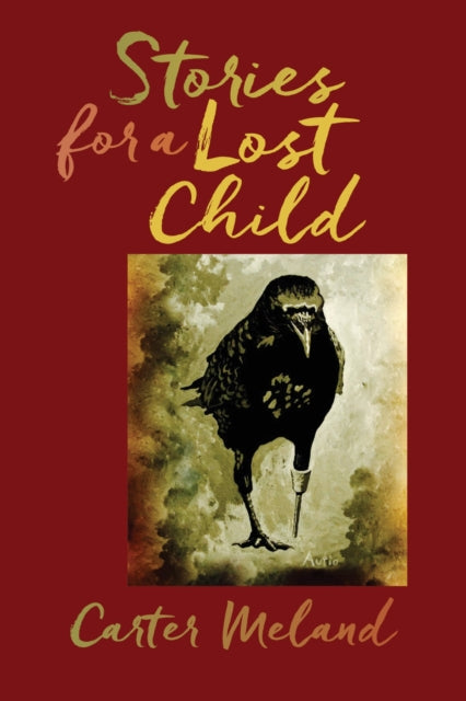 Book cover of: Stories for a Lost Child. By: Carter Meland