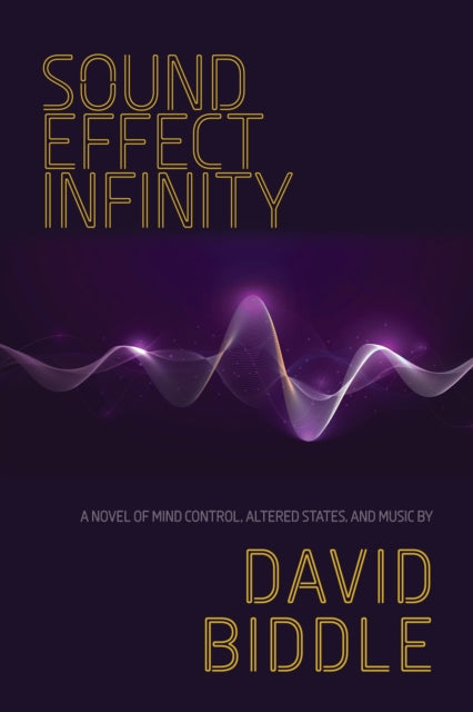 Book cover of: Sound Effect Infinity. By: David Biddle