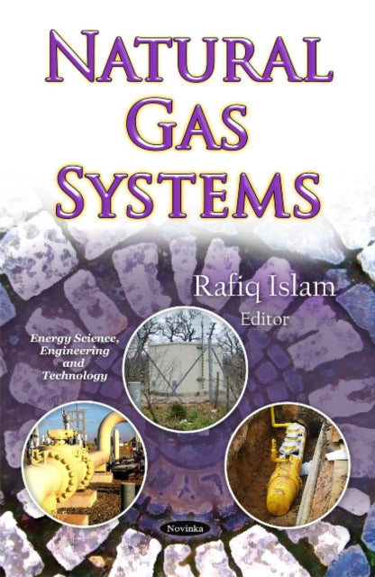 Book cover of: Natural Gas Systems. By: Rafiqul Islam