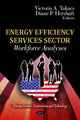 Book cover of: Energy Efficiency Services Sector. By: Victoria A. Takacs