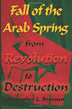 Book cover of: Fall of the Arab Spring