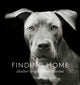 Book cover of: Finding Home. By: Traer Scott