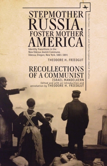 Book cover of: Stepmother Russia, Foster Mother America. By: Theodore H. Friedgut