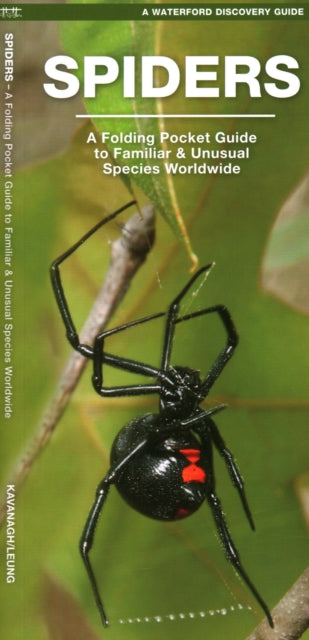 Book cover of: Spiders. By: James Kavanagh